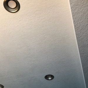 Meet your Posher, Dane